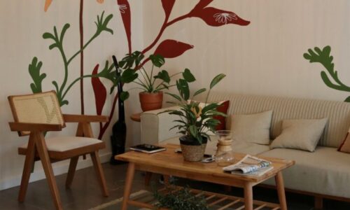 pexels-aysenurhamra-68268085-11120970 pexels-aysenurhamra-68268085-11120970