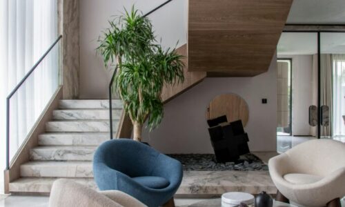 pexels-essentia-media-2154502099-33685855 pexels-essentia-media-2154502099-33685855