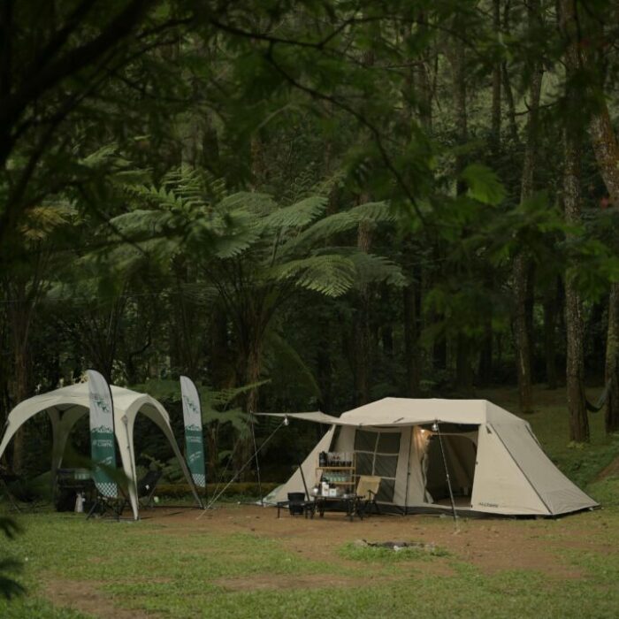 Sleep under the stars and reconnect with nature in peaceful surroundings.